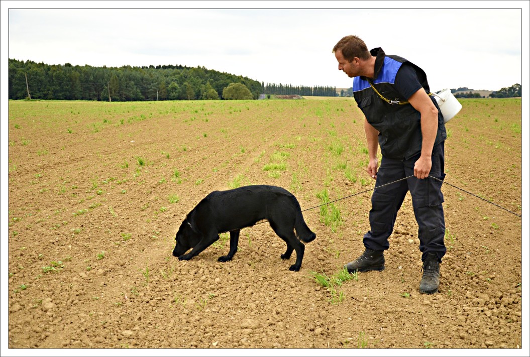 příprava na IPO-FH